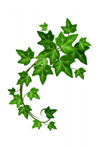 Affiche Tarifs Boissons minimaliste illustrations bière café vin ludique (5)