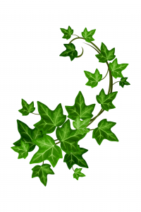 Affiche Tarifs Boissons minimaliste illustrations bière café vin ludique (6)